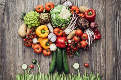 Diet & Nutrition