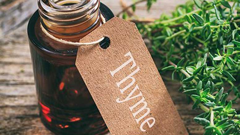 Home Remedies for Abscess Tooth – Page 13 – Entirely Health