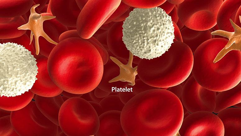 What Is Low Blood Platelets Called