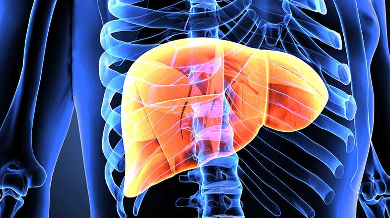 The Signs and Symptoms of Liver Disease – Entirely Health