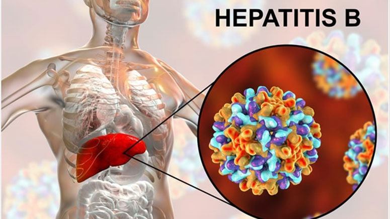 What Causes Hepatitis B In Pregnancy