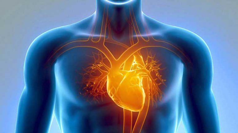 Symptoms and Signs of Heart Disease and Other Heart Problems – Entirely