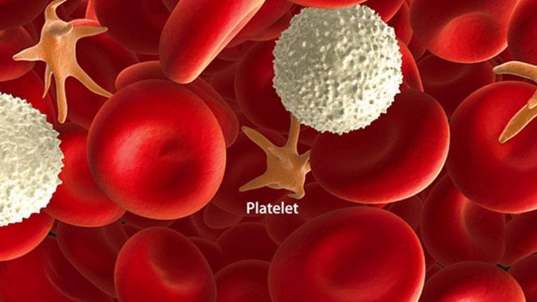 what-does-high-bilirubin-indirect-and-platelet-count-mean-in-blood-test