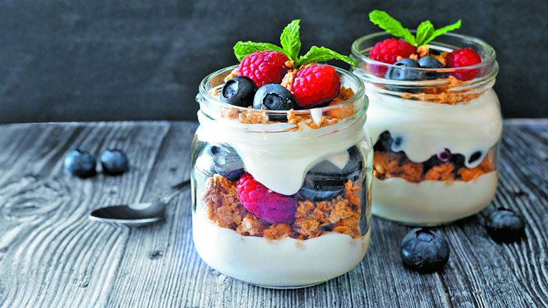 10 Best Probiotics Yogurt to Keep Your Gut Healthy – Entirely Health