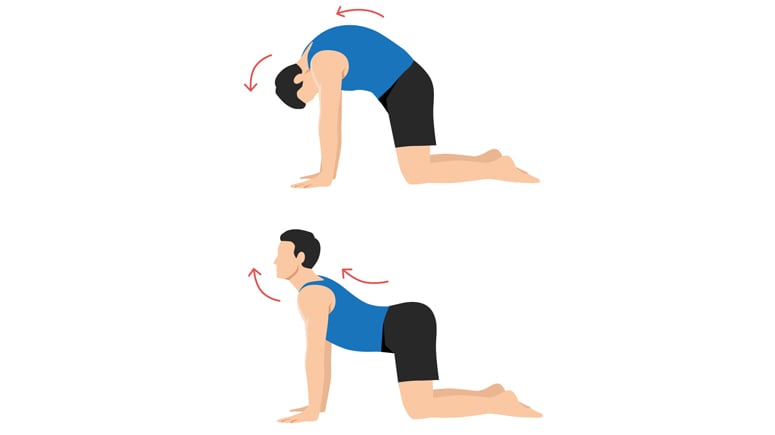 10 Best Stretches and Exercises for Scoliosis – Page 2 – Entirely Health